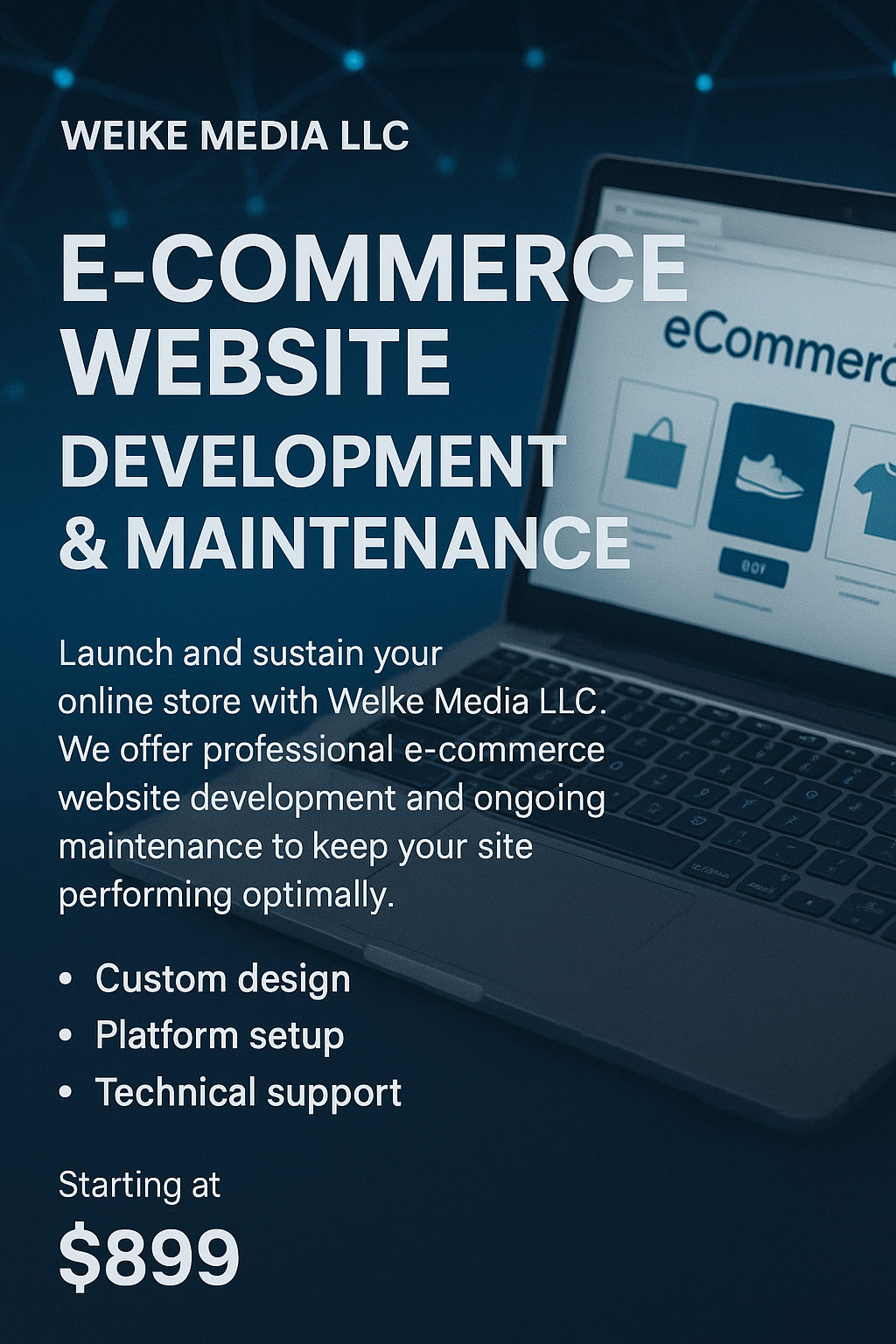 E-Commerce Website Setup & Maintenance / 电商网站搭建与维护